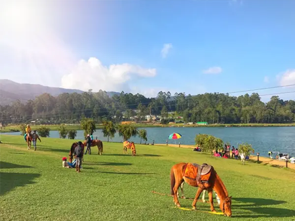 Outdoor_adventures_at_Nuwara_Eliya