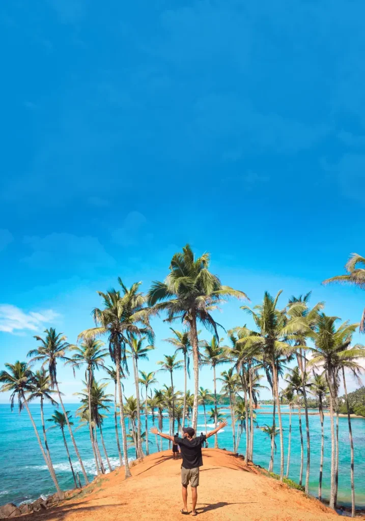 Luggage Transfer Service Sri Lanka